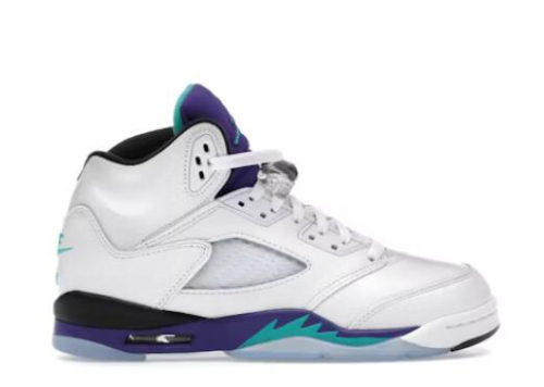 Air Jordan 5 Retro Grape 2025 GS（A1）